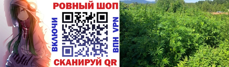 Виды наркотиков купить Джанкой Меф