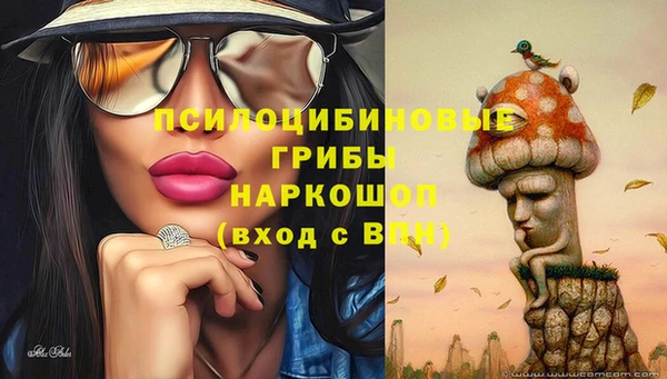 каннабис Алзамай