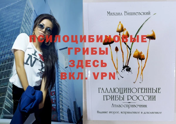 mix Алексеевка