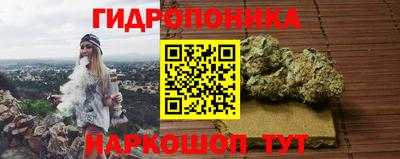 ECSTASY Малгобек