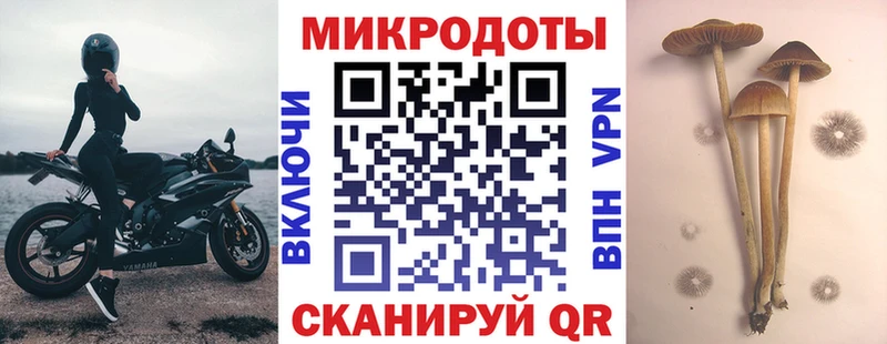 Псилоцибиновые грибы прущие грибы  blacksprut tor  Джанкой 