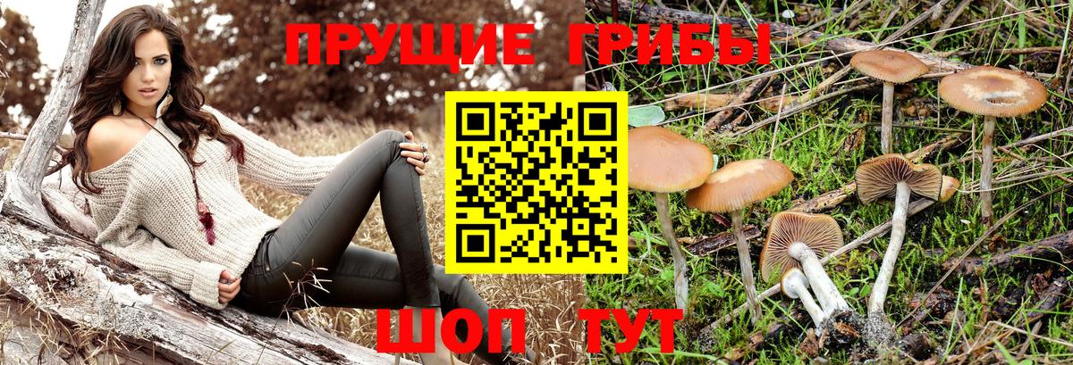 Джанкой  Галлюциногенные грибы мицелий  Вход с VPN 